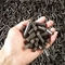 Doppelschicht-Kaffee-Biomasse-Holz beizt Maschine 0.6mm 1500kgs/H