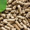 Kugel-Maschinen-Erdnuss Shell Grass Pellet Maker 0.8t/H des Edelstahl-4Cr13 hölzerne