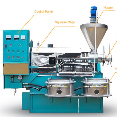 Kaltes Öl der Commerical-Erdnuss-Acajounuss-Erdnüsse, das Pressmaschine produzierend verarbeitet