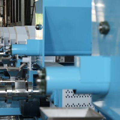 Selbstgeflügel-sich hin- und herbewegende Fischfutter-Maschinen-kleine Zufuhr-Granulierer-Maschine des steuer380v