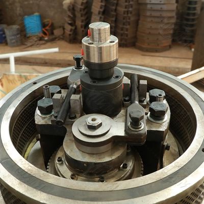 Brennstoff-Eukalyptus-Holz beizt Maschine vertikalen Ring Die 3t/H