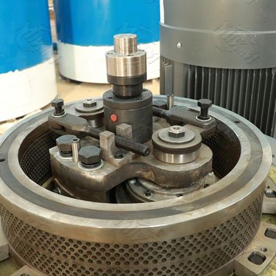 Doppelschicht-Kaffee-Biomasse-Holz beizt Maschine 0.6mm 1500kgs/H