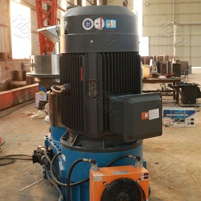 Plastikkugel des Luzerne-Bagassen-biologischen Brennstoffes, die Maschine 5000kg/H 2mm herstellt