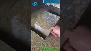 Pelletmühle für Garnelenfutter | Fabrik-Fertigprodukt-Produktionsdemo#Futterpelletmaschine
