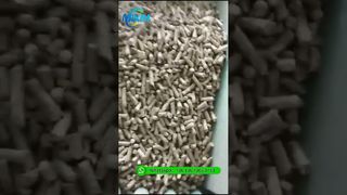 Biomasse-Holzpelletmaschine | Ringmatrizen-Pelletmühle für die Produktionslinie für Sägemehlpellets